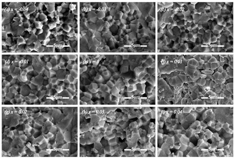 SEM micrographs of NMS ceramics sintered at 1500°C for 4h. | Download Scientific Diagram