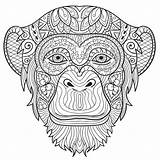 Monkey Coloring Pages For Kids At GetDrawings  Free Download sketch template