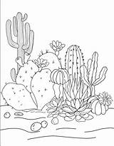 Cactus Coloring Pages Easy sketch template