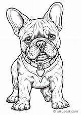 French Bulldog Coloring Page For Kids » Free Download Artus Art sketch template