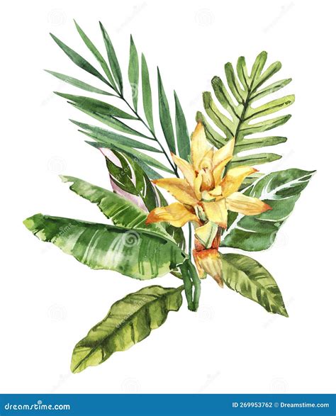 Watercolor Hand Drawn Rainforest Tropical Leaves and Flowers Bouquet ...