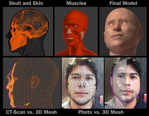 ATOR: Forensic facial reconstruction of a living individual using open-source software (blind test)