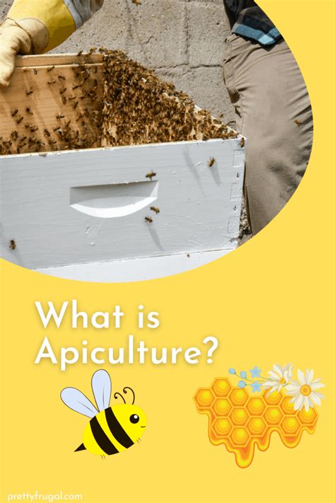 What is Apiculture? – Pretty Frugal