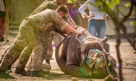 An African Conservation Story Worth Celebrating - Africa.com