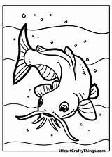 Realistic Catfish Coloring Pages sketch template