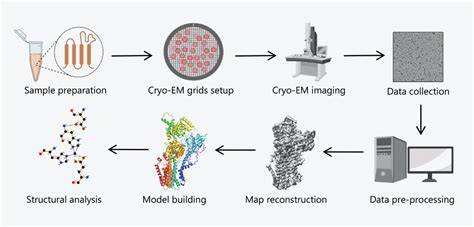 How Cryo-Electron Microscopy Can Accelerate Drug Discovery