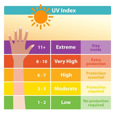 The ultraviolet index chart with tanned skin vector. UV index scale that represents the ...