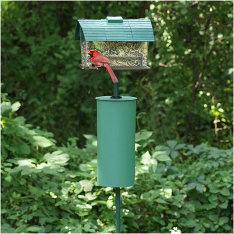 7 Top-Rated Bird Feeder Squirrel Baffles - Birds and Blooms