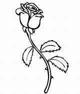 Printable Rose Coloring Pages sketch template