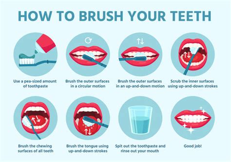 How To Brush Your Teeth PDF Printable Dental Guide ...