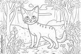 Cat coloring For Children To Print Coloring School  sketch template