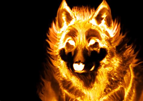 Flame-Dog | Survivor Dogs Wiki | Fandom