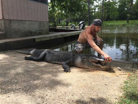 Yes, That's An Alligator In The River ... Will You Still Go Tubing ...