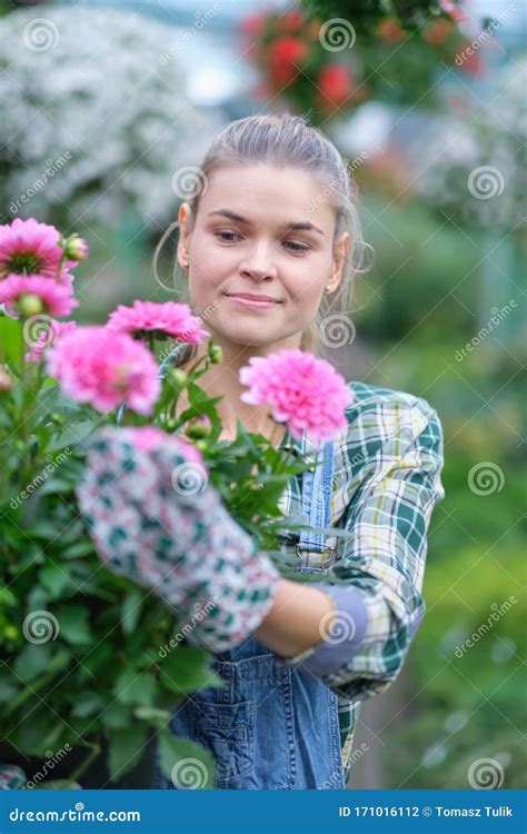 Happy Woman Gardener Choosing Flower Pot with Anthuriums in Garden Center Stock Photo - Image of ...