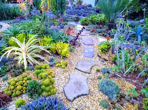 This beautiful succulent xeriscape in Orlando, FL (sorry for the filter, Google Assistant did it ...