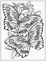 Realistic Coloring Pages For Adults At GetColoringscom  Free sketch template