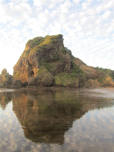 Pin by Te Wahi Ora on Piha | Auckland, Beach, New zealand