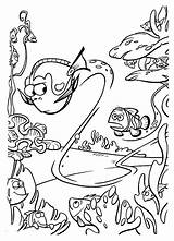Nemo Coloring Pages Cool2bkids sketch template