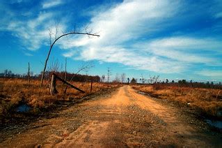 Logging Road | Sussex County VA (Stony Creek vicinity) | Taber Andrew Bain | Flickr