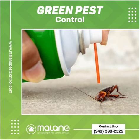 Green Pest Control Services in 2023 | Green pest control, Pest control, Pest control services