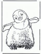 Free Printable Penguin Coloring Pages For Kids sketch template