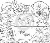 Coloring Duck Pond Stock Vector  Image 61553156 sketch template