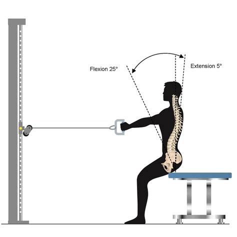 Dynamic trunk flexion-extension test. A full stroke from 25° flexion to... | Download Scientific ...