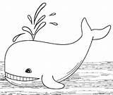 Printable Whale Coloring Pages For Kids  Cool2bKids sketch template