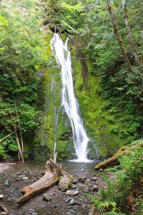 Madison Falls - An Easy-to-Visit Waterfall in Olympic NP