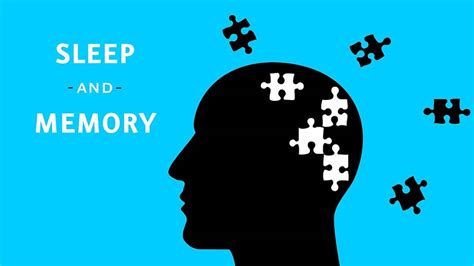 How Sleep Affects Memory | Tagir Sabirov’s Personal Website