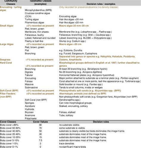 Biota classification definitions used for classifying the standard ...