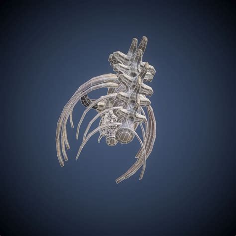 3D model Skeleton dragon VR / AR / low-poly | CGTrader