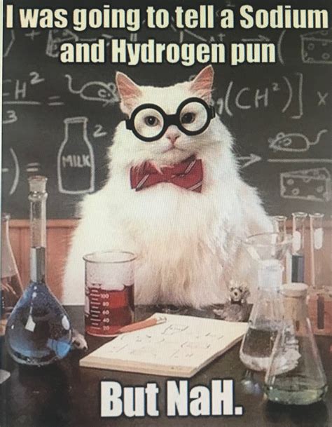 Science Humor Jokes, Science Cat, Funny Science, Biology Memes, Grammar Humor, Life Science ...