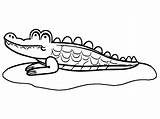 Crocodile Coloring Page · Creative Fabrica sketch template