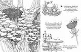 Kingdom Fungi Coloring Worksheet Answer Pages sketch template