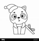 Coloring Page cute little raccoon Sitting In Gift Box Book  sketch template