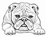 Baby Bulldogs Coloring Pages sketch template