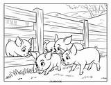 135  Boerderij Kleurplaten Voor Kinderen & Volwassenen Gratis PDF sketch template