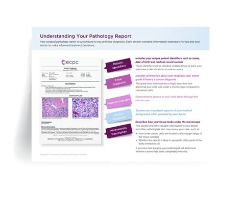 Understanding Your Pathology Report — Eastern Connecticut Pathology ...