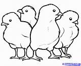 Printable Chicken Coloring Pages  Home sketch template