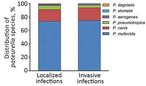 Pasteurella Multocida Human Infection