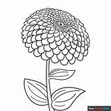 Zinnia Coloring Page  Easy Drawing Guides sketch template