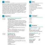 Business Development CV Sample in 2024 - ResumeKraft