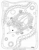 Echidna Coloring Page At GetColoringscom  Free Printable Colorings sketch template
