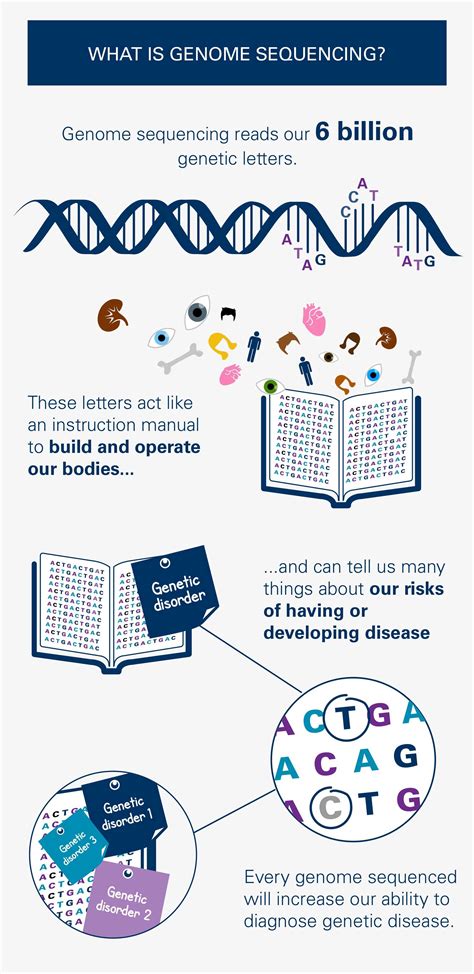 Sequencing a genome | Genome, Genome sequencing, Medical research