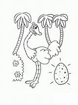 Ostrich Egg Coloring Pages sketch template