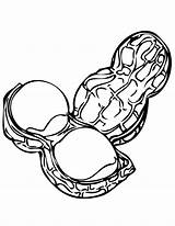 Nut Coloring Pages Coloring sketch template