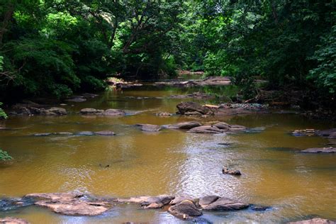 Nigeria’s sacred Osun River supports millions of people — but pollution is making it unsafe