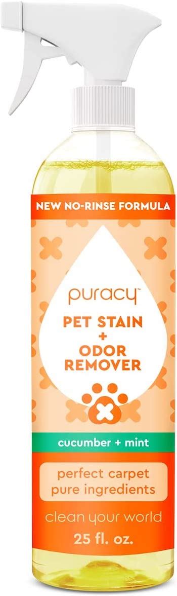 The 11 Best Pet Stain Removers for Carpets, Couches, Sheets, and More