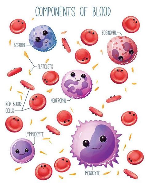 Set of Three Blood Smears, Science art, biology art, science gift, red blood cells,histology ...